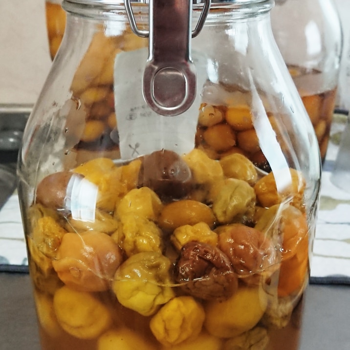 梅シロップ りんご酢と蜂蜜 レシピ 作り方 By バーボン茶トラ 楽天レシピ 梅シロップ りんご酢と蜂蜜 レシピ 作り方 By バーボン茶トラ 楽天レシピ
